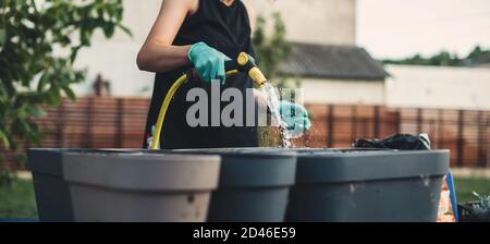 Schwangere kaukasische Frau wässern einige Blumentöpfe während der Arbeit Im Garten zu Hause Stockfoto