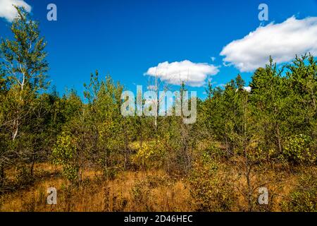 Laurentians Parks und Naturschutzgebieten Stockfoto