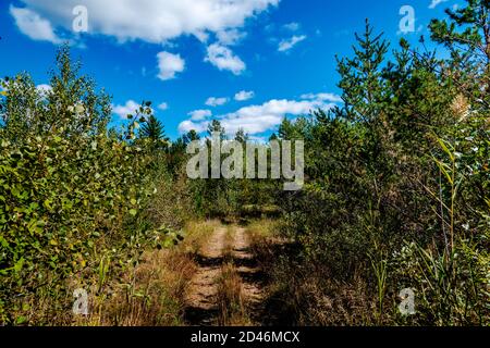 Laurentians Parks und Naturschutzgebieten Stockfoto