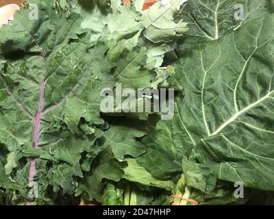 Leuchtend grüne Trauben von frischem Bauernmarkt Kohl und Collard grüne Stockfoto