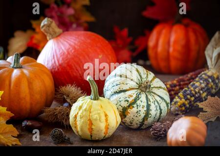 Herbst- oder Herbstkonzept mit saisonaler Ernte - traditionelle Kürbisse, Kastanien, Maiskolben und bunte Blätter. Thanksgiving Komposition Stockfoto