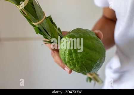 Ein Mann hält traditionelle Symbole (die vier Arten): Etrog, Lulav, Hadas, Arava. Am jüdischen Feiertag von Sukkot Stockfoto