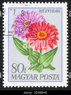 UNGARN - UM 1968: Stempel gedruckt von Ungarn, zeigt Blume, um 1968 Stockfoto