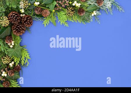 Hintergrund Grenze mit Wintergrün von Zedernholz Zypresse, Wacholder Tanne, Mistel, Efeu & Kiefer Kegel auf blauem Hintergrund. Florale Komposition für das Weihnachtsfest Stockfoto