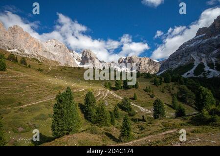 Blick auf Wanderwege und Bäume, mit den Gipfeln der Geisler Berggruppe in den italienischen Dolomiten, in den Alpen, Südtirol, Italien Stockfoto