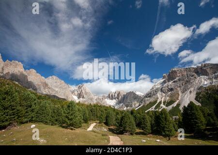 Blick auf Wanderwege und Bäume, mit den Gipfeln der Geisler Berggruppe in den italienischen Dolomiten, in den Alpen, Südtirol, Italien Stockfoto