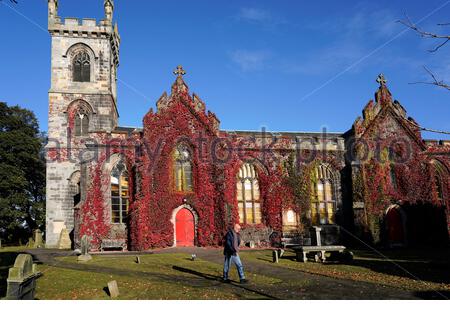 Edinburgh, Schottland, Großbritannien. Oktober 2020. Liberton Kirk erstraht in der Herbstfarbe des roten Efeus, der an einem klaren, sonnigen Tag gegen den blauen Himmel am frühen Morgen kontrastiert. Kredit: Craig Brown/Alamy Live Nachrichten Stockfoto