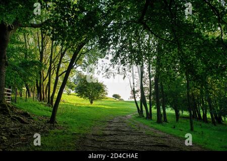 Der Cotswold Way Fußweg in der Nähe des broadway Towers an einem frühen septembermorgen. Broadway, Cotswolds, Worcestershire, England Stockfoto