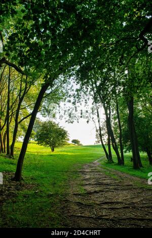 Der Cotswold Way Fußweg in der Nähe des broadway Towers an einem frühen septembermorgen. Broadway, Cotswolds, Worcestershire, England Stockfoto