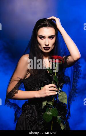 Braut in schwarzem Kleid mit roter Rose und berührenden Schleier auf blau mit Rauch, halloween-Konzept Stockfoto