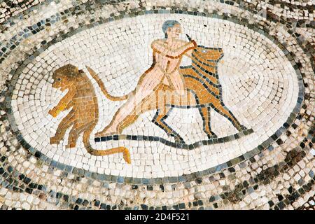 Siebte Arbeit des Herkules, Mosaik von Volubilis, alte römische Stadt in Marokko Stockfoto