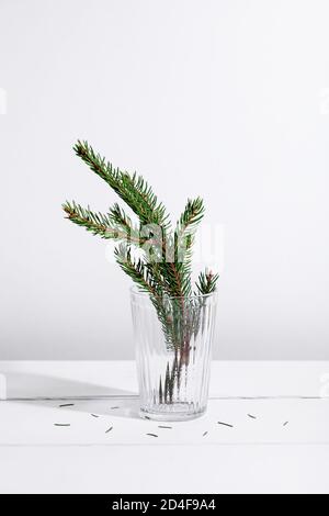 Tannenzweig in Glas auf weißem Hintergrund. Minimales weihnachtskonzept für das neue Jahr Stockfoto