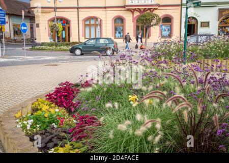 Blumen Stadtplatz in Vodnany, Tschechische Republik Stockfoto