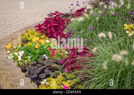 Blumen Stadtplatz in Vodnany, Tschechische Republik Stockfoto