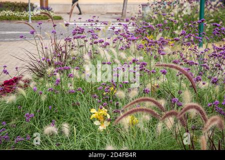 Blumen Stadtplatz in Vodnany, Tschechische Republik Stockfoto