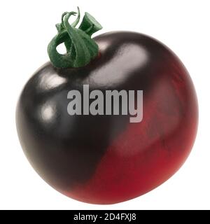 Indigo Rose Erbstück Tomate, isoliert Stockfoto