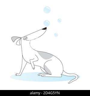 Netter Hund mit Blasen. Logo für Hund Friseursalon, Styling-und Pflege Shop, Shop für Haustiere. Vektorgrafik Stock Vektor