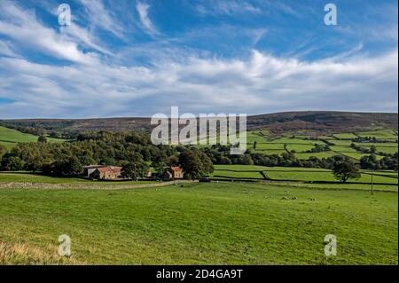 Das sehr abgelegene Brandsdale mit einigen kleinen Farmen im North York Moors National Park in Großbritannien. Stockfoto