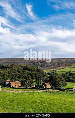 Das sehr abgelegene Brandsdale mit einigen kleinen Farmen im North York Moors National Park in Großbritannien. Stockfoto