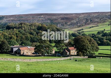 Das sehr abgelegene Brandsdale mit einigen kleinen Farmen im North York Moors National Park in Großbritannien. Stockfoto