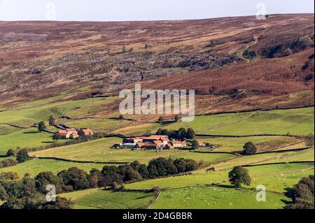 Das sehr abgelegene Brandsdale mit einigen kleinen Farmen im North York Moors National Park in Großbritannien. Stockfoto