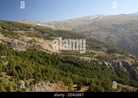 Sierra Nevada, España, Hiszpania, Spanien, Spanien; malerische Berglandschaft im Herbst. Malerische Berglandschaft im Herbst. 美麗如畫的山風景在秋天。 Stockfoto