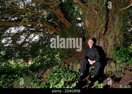 Der alte Eibenbaum in St. Cynog's Kirchhof in Defynnog, Powys, South Wales, stand seit mehr als 3,000 Jahren vor Christus Stockfoto