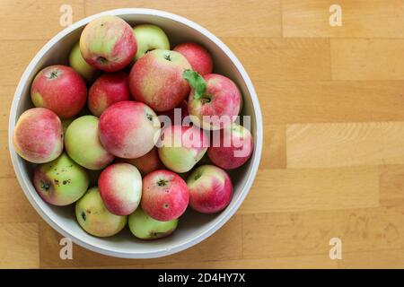 Horizontaler Fokus Garten Äpfel auf einem w Hintergrund Stockfoto
