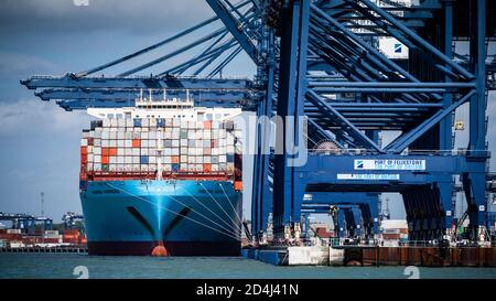 Maersk Line - Britische Importe - der Maersk Herrera Container Das Schiff dockte am Felixstowe Port UK an und brachte Importe aus dem Fernost nach Großbritannien und Europa Stockfoto