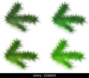 Set von vier weihnachtskiefer Kranz isoliert auf transparentem Hintergrund Stock Vektor