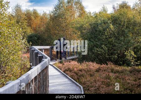 Naturschutzgebiet Mutzenicher Venn im Hohen Venn im Nordeifel Stockfoto