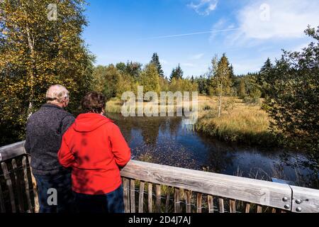 Naturschutzgebiet Mutzenicher Venn im Hohen Venn im Nordeifel Stockfoto