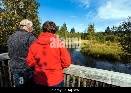 Naturschutzgebiet Mutzenicher Venn im Hohen Venn im Nordeifel Stockfoto