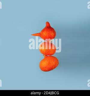 Ein Schneemann mit einer Karottennase aus drei orangefarbenen Kürbissen auf blauem Hintergrund. Halloween-Konzept. Stockfoto