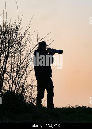 Silhouette der Tierwelt Fotograf wartet auf eine Scheune Eule, North Norfolk Winter Stockfoto