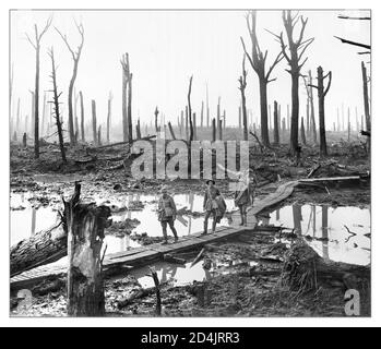 Archiv SCHLACHTFELD PASSCHENDAELE NACH dem 1. Weltkrieg 12. Oktober 1917 die 3. Australische Division und die Neuseeländer, unterstützt von der 4. Australischen Division, wurden gegen das Dorf Passchendaele gestartet. Das Wetter hatte das Schlachtfeld in Schlamm verwandelt. Artillerieunterstützung schwach; Geschosse explodierten harmlos im Schlamm, zerschnitten weder den Stacheldraht des Feindes, noch verstummten sie die Geschütze. Die Neuseeländer kämpften über 2,300 Meter Schlamm, um von Maschinengewehren geschlachtet zu werden. Die Australier erreichten den Rand von Passchendaele, wurden aber mit zunehmenden Verlusten gezwungen, sich zurückzuziehen. Der Angriff war eine Katastrophe. Stockfoto