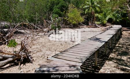 Holzbrücke, die bei Ebbe durch Mangroven auf der Insel Curieuse in der Nähe von Praslin, Seychellen führt. Stockfoto