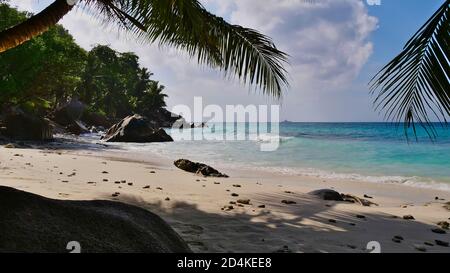 Granitfelsen und Kokospalmen am wunderschönen Strand von Anse Patates mit türkisfarbenem Wasser auf der Insel La Digue, Seychellen. Stockfoto