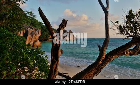 Atemberaubende Aussicht auf den beliebten Strand Source d'Argent, La Digue Insel, Seychellen mit Ästen von toten Bäumen und Granitfelsen beleuchtet am Abend. Stockfoto