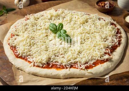 Zubereitung von hausgemachter Rohkäse-Pizza mit Sauce und Teig Stockfoto