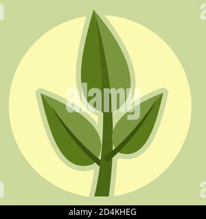 Anlage. Vektor. Ein Symbol für saubere Ökologie, Leben und Gesundheit. Logo von Öko-Produkten, Kräutermedizin, Landwirtschaft, Pflanzenproduktion, sicher für die Naturproduktion Stockfoto