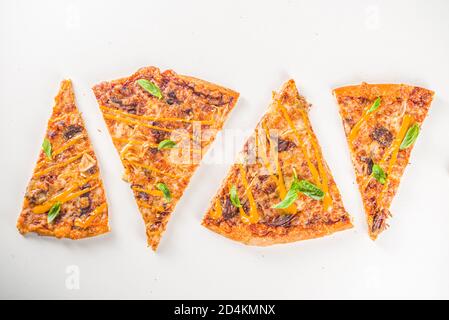 Verschiedene italienische amerikanische traditionelle Pizzascheiben. Scheiben leckere Pizza auf hellem Hintergrund, Draufsicht Flatlay Stockfoto