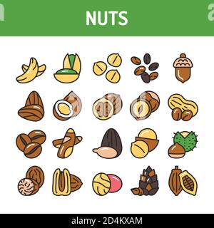 Symbole für die Farblinien von Nüssen und Samen sind gesetzt. Isoliertes Vektorelement. Skizzieren Piktogramme für Webseite, mobile App, Promo. Stock Vektor