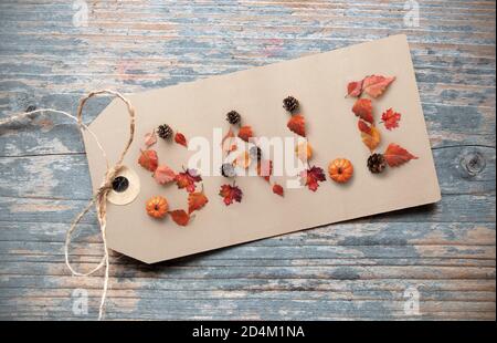 Herbstverkauf Shopping Banner Dinkel mit saisonalen Blättern, Tannenzapfen und Kürbis Stockfoto
