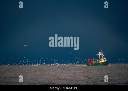 Angelboote/Fischerboote arbeiten vor der Norfolk-Küste bei Titchwell UK November Stockfoto