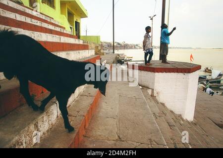 Kinder fliegen einen Drachen am Ganges Fluss in Varanasi, Indien Stockfoto