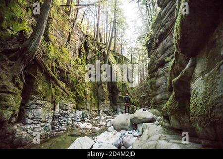 Ein Mann, der die üppige Schlucht des Flusses in Vancouver, Kanada, erkundet. Stockfoto
