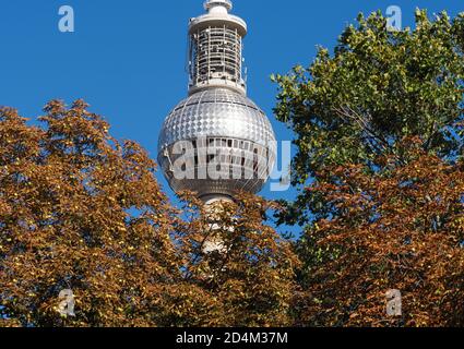 Berlin, Deutschland. Oktober 2020. Die Kuppel des Fernsehturms ragt hinter herbstlich belaubten Bäumen hervor. Quelle: Soeren Stache/dpa-Zentralbild/ZB/dpa/Alamy Live News Stockfoto