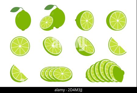 Limette mit grünen Blättern isoliert auf weißem Hintergrund. Vegetarische Rohkost. Darstellung von Kalk-, Halb- und Schichtvektoren. Symbole für grüne Zitrusfrüchte Stock Vektor