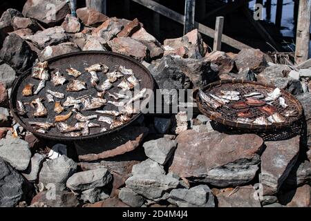 Kleine Fische verteilen sich auf runden Holzteller, trocknen in der warmen Sonne, Ngwesaung, Myanmar Stockfoto